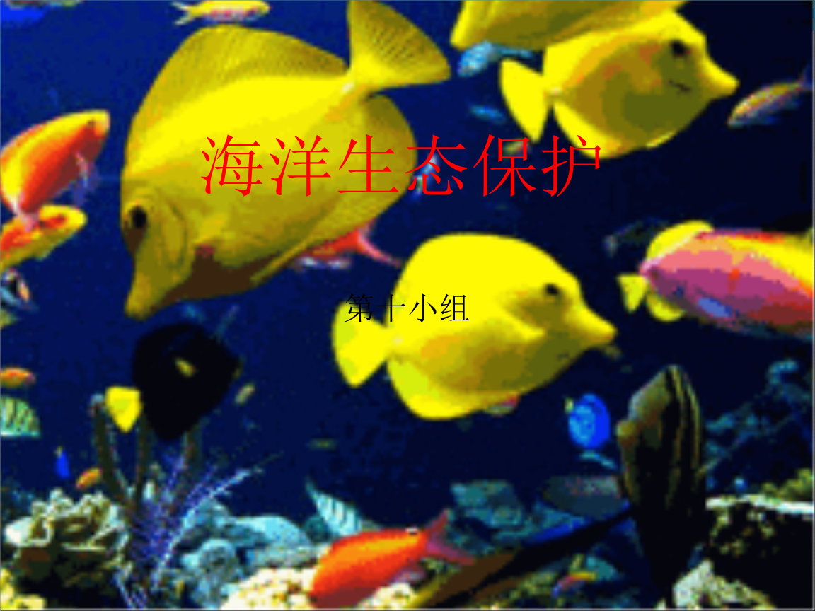 探索海洋资源与环境专业的海洋生态保护_海洋环境和资源 探索海洋资源与环境专业的海洋生态保护_海洋环境和资源