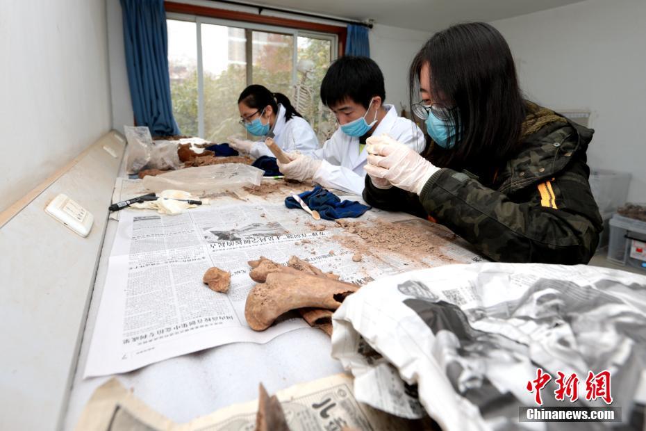 西北大学的考古学与历史文化_西北大学的考古学与历史文化专业