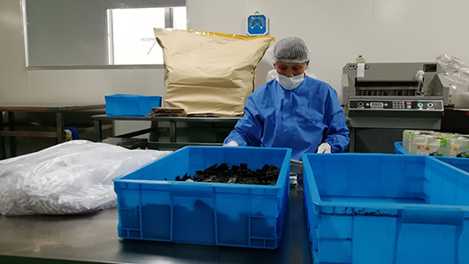 走进水产品加工及贮藏工程专业的水产食品加工_水产品加工技术主要包括哪几个方面 走进水产品加工及贮藏工程专业的水产食品加工_水产品加工技术主要包括哪几个方面
