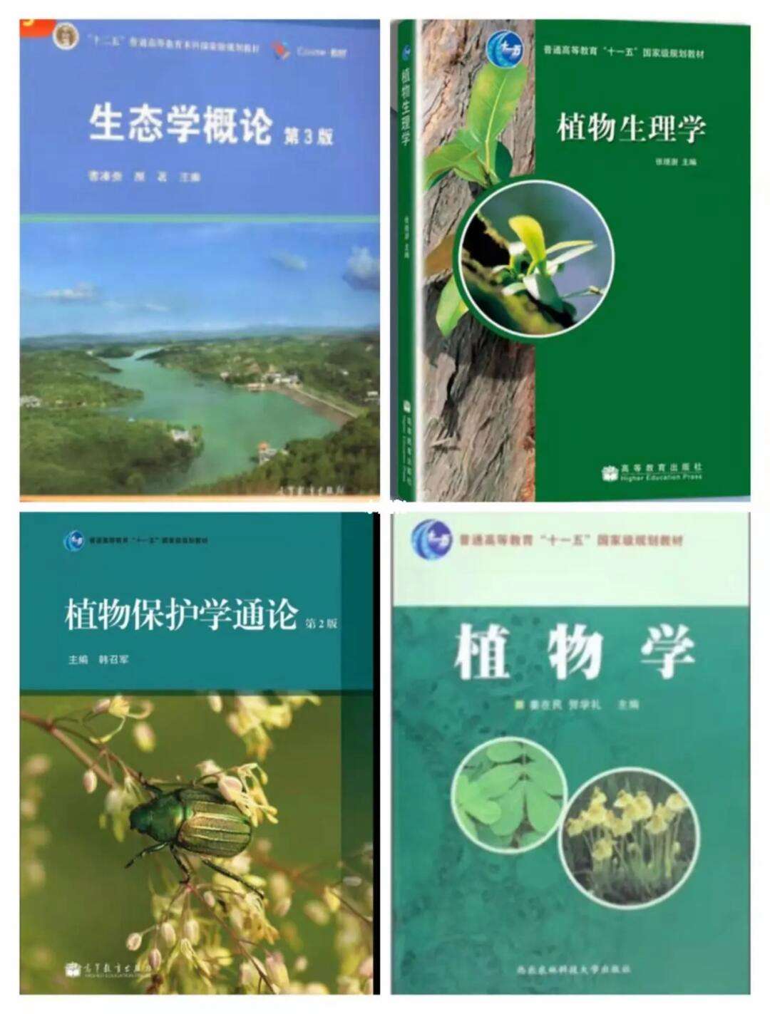 华中农业大学的植物保护_华中农业大学植物保护学院