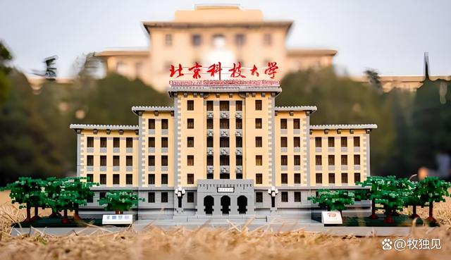 北京科技大学冶金工程_北京科技大学冶金工程就业去向