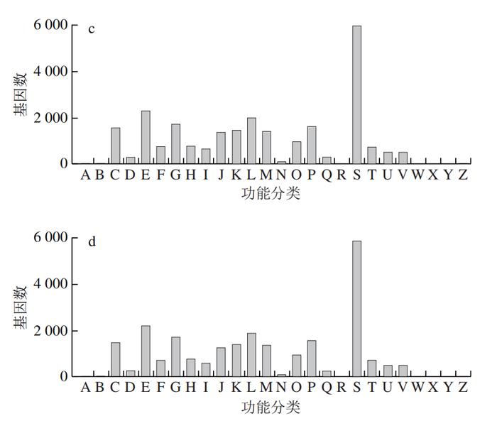 基因组学数据分析专业：基因编辑数据的高级分析技术_基因基因组基因组学