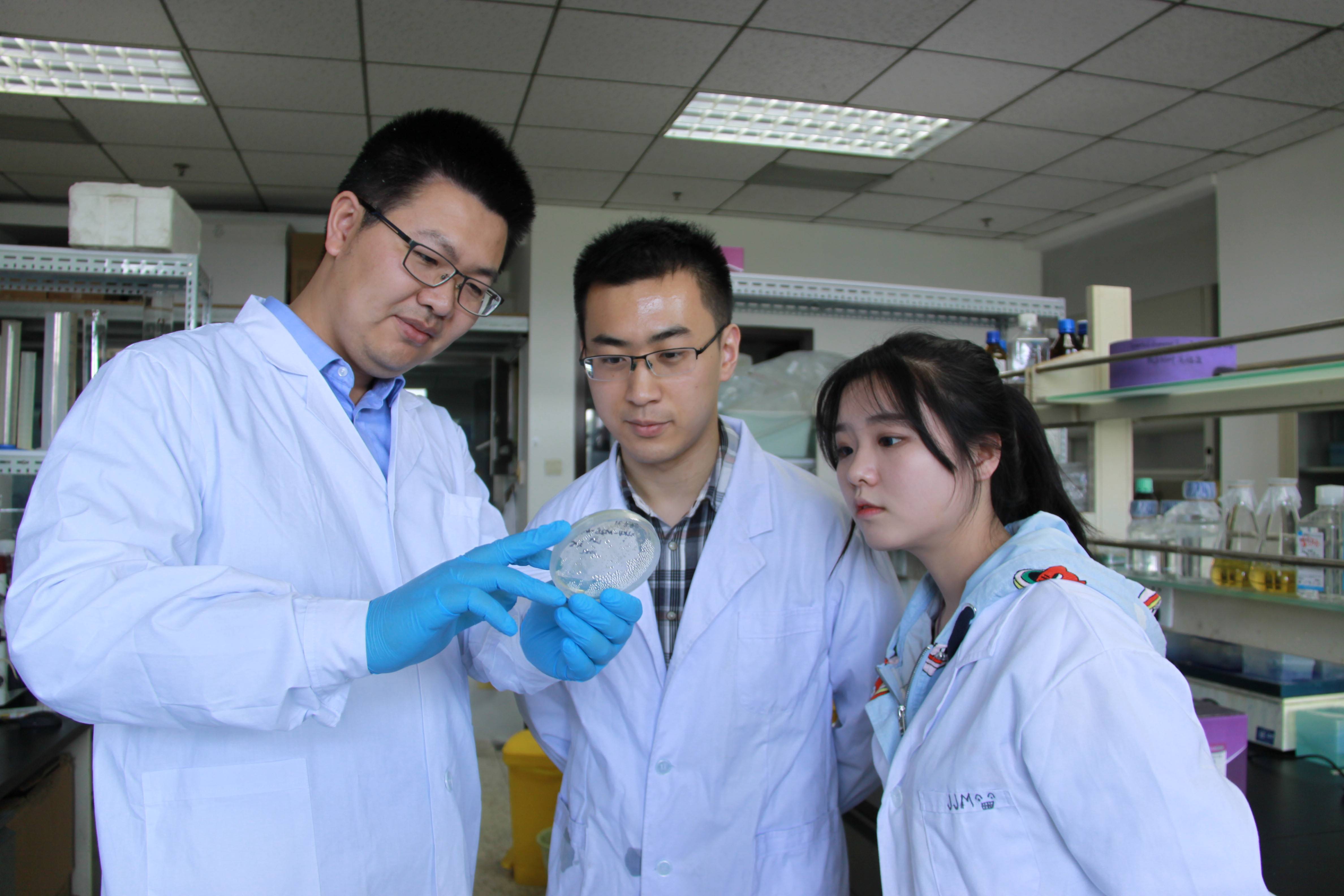生物科学专业学生生物科学领域科研训练_生物科学专业探索