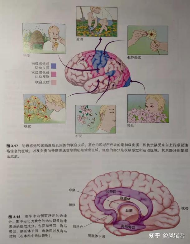 AI在神经科学中的应用课程：脑机接口技术_脑机接口技术最新进展