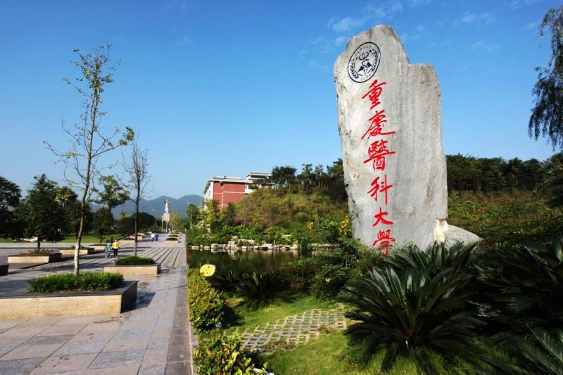重庆医科大学与重庆师范大学:重庆地区的医学教育对话_重庆医科大学与重庆大学合并 重庆医科大学与重庆师范大学:重庆地区的医学教育对话_重庆医科大学与重庆大学合并