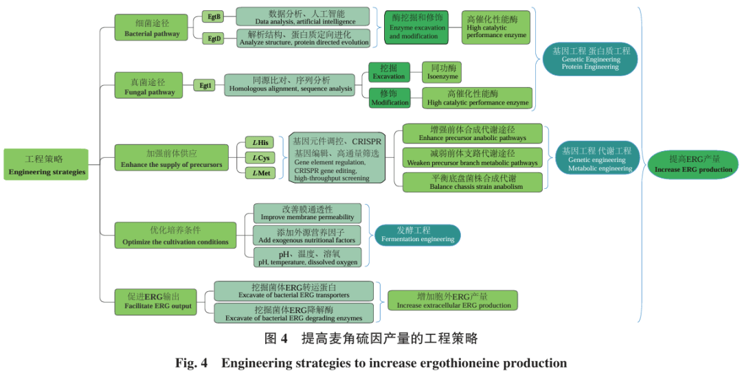 合成生物学与工业生物技术:工业生产中的生物过程_合成生物学企业 合成生物学与工业生物技术:工业生产中的生物过程_合成生物学企业