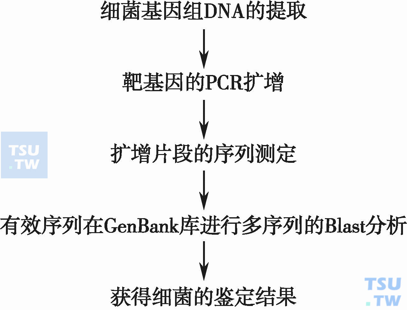 应用微生物学专业:基因编辑在应用微生物学中的作用_微生物基因工程主要应用领域 应用微生物学专业:基因编辑在应用微生物学中的作用_微生物基因工程主要应用领域