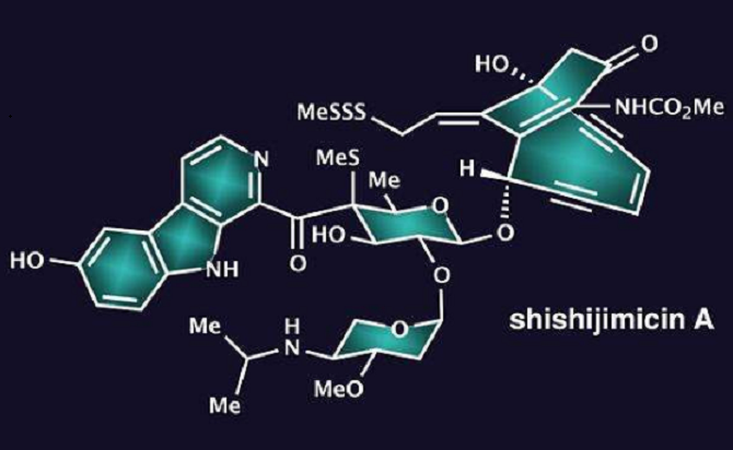 活性天然产物化学专业：基因编辑在天然产物研究中的应用_天然活性产物生物制造技术