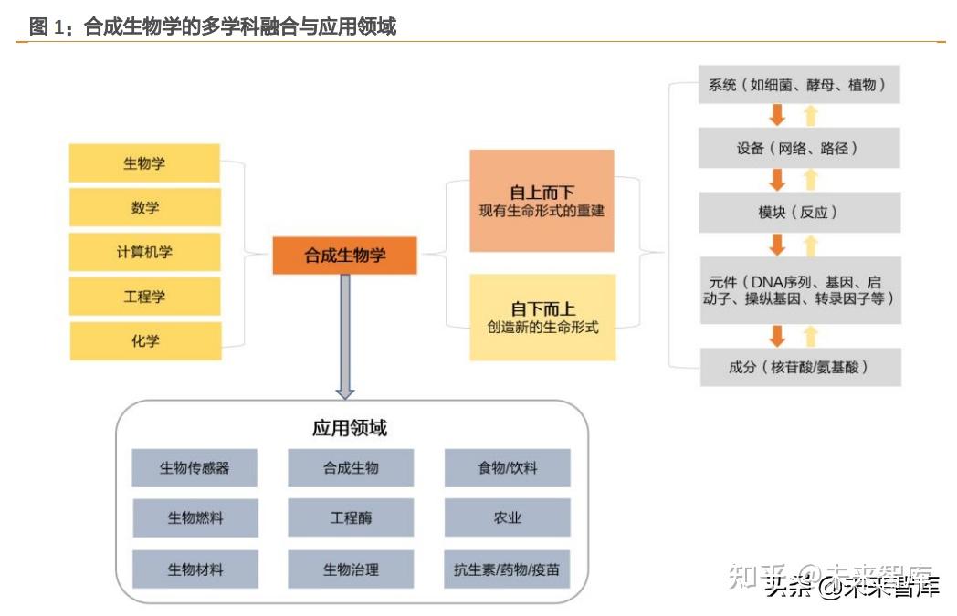 合成生物学与合成生物康复治疗学：康复治疗的生物技术_合成生物学生命科学的“利器”开卷知新