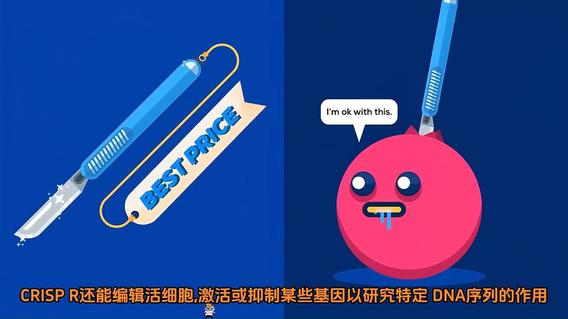 病毒学专业：基因编辑在病毒治疗中的应用_病毒基因组的重大意义
