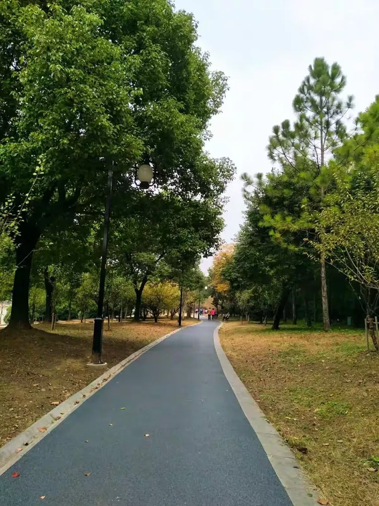 什么是职业护城河，大学期间如何逐步搭建_职业护城河什么意思