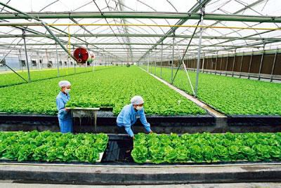 农林行业不只有种地	，全新职业方向规划_农林种植行业有哪些