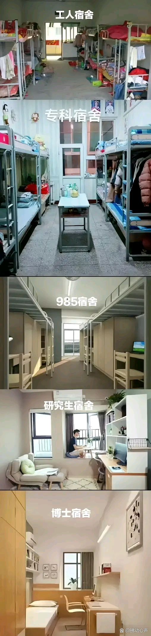 同一个城市多所大学，大学城就读体验差异_有一座城市在大学里面
