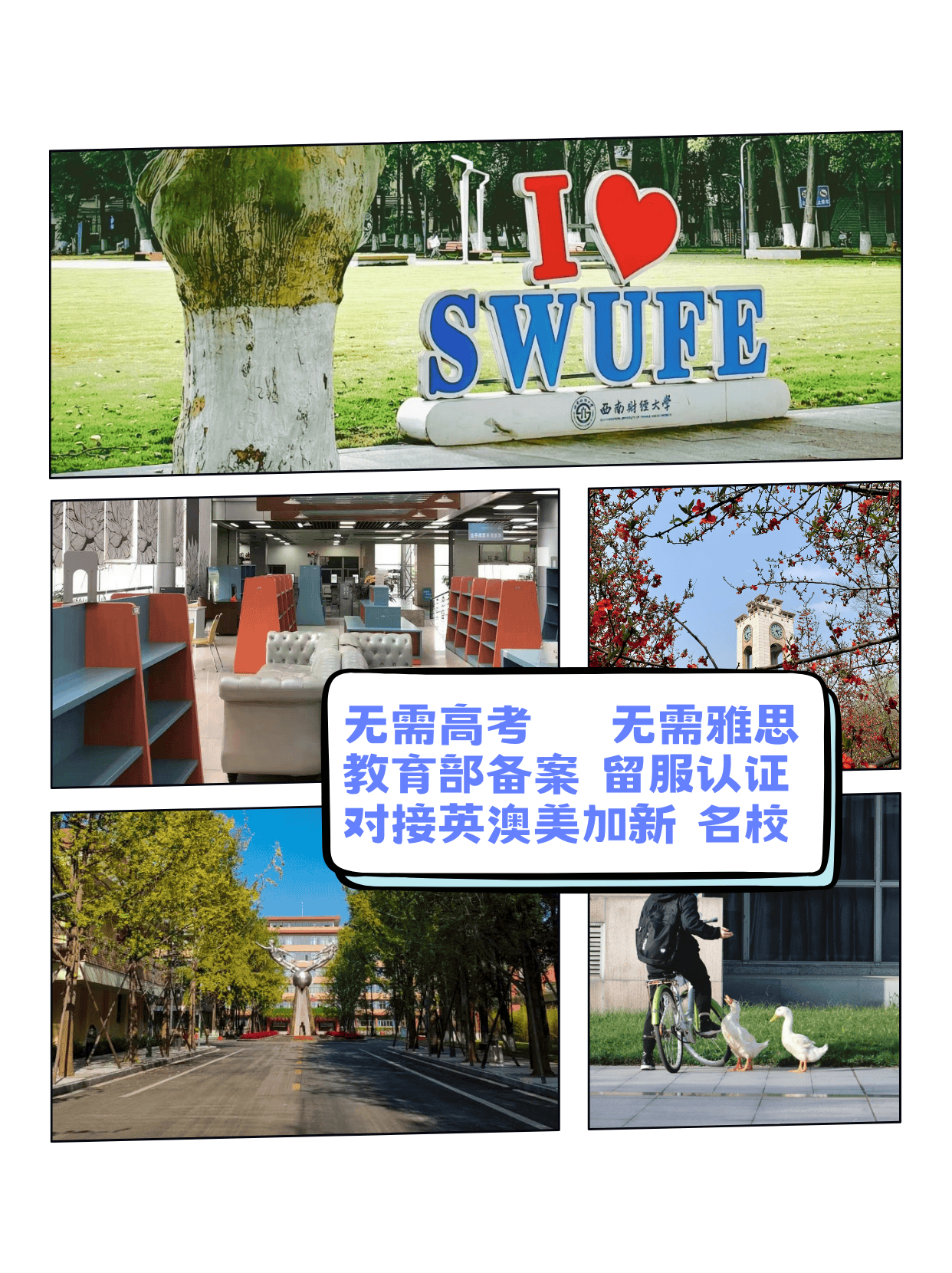 报考院校怎么查真实就业	，避开宣传陷阱_怎么查看院校的考研信息