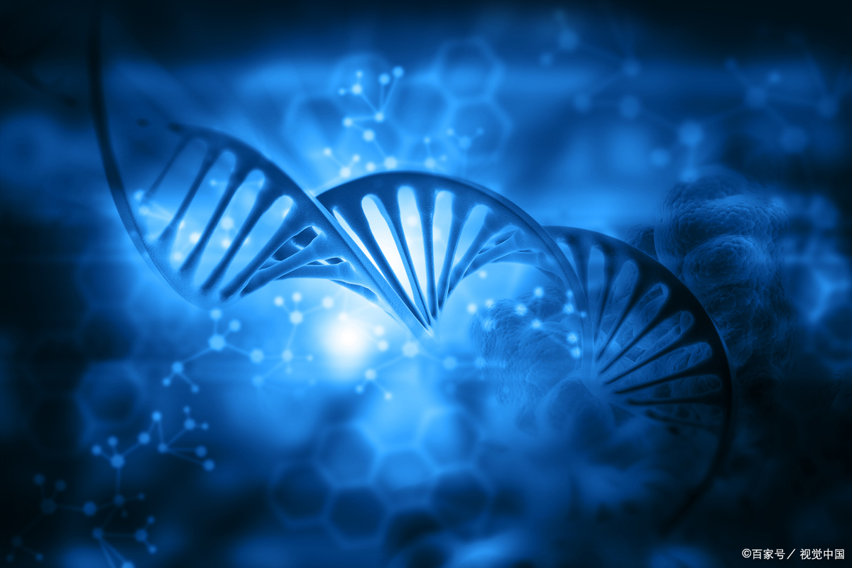 生物信息学，生命科学与计算机的交叉学科_生物信息学和计算生物学的区别